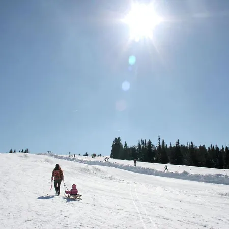 Beautiful Holiday In Weinebene With Sauna Tatil Evi *