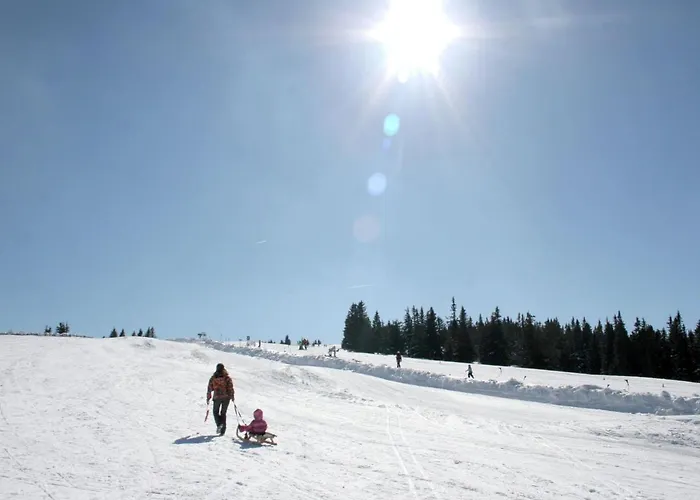 Beautiful Holiday In Weinebene With Sauna בית נופש *